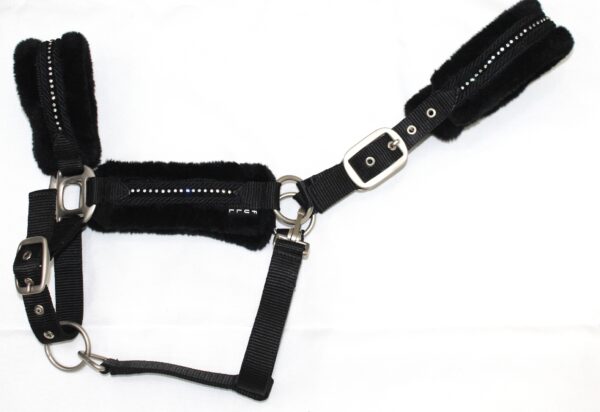 Article No. IMG-6854